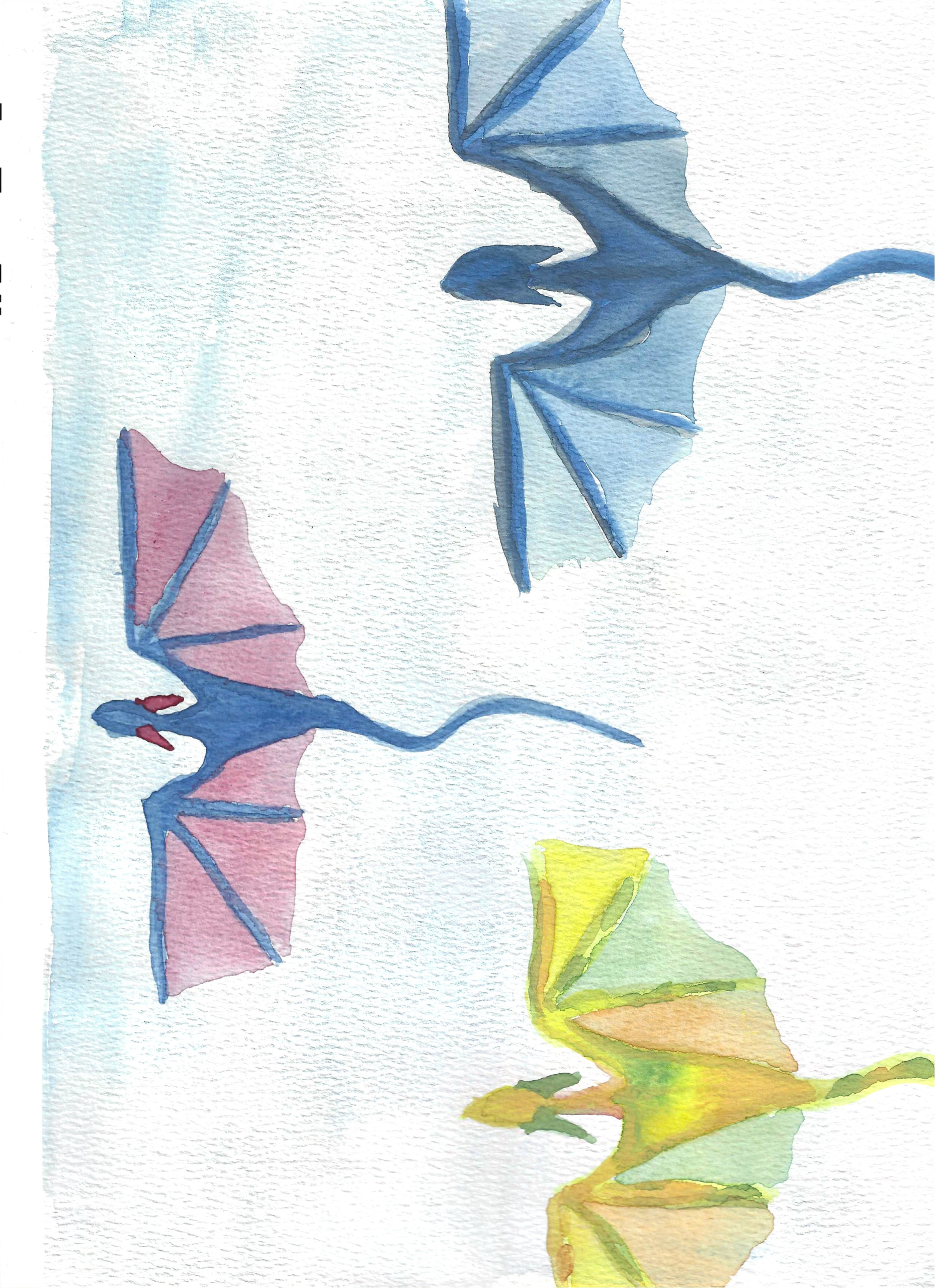 To Meet Another Wing